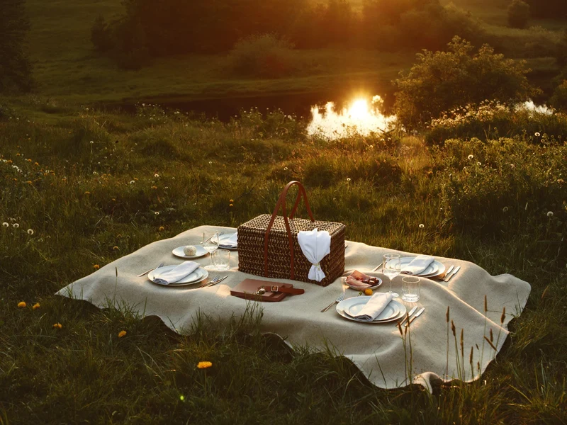 Picnic på en dansk eng ved en sø i gyldent aftenlys